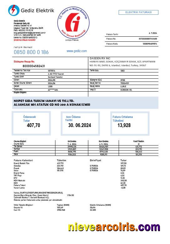 Turkey Gediz Elektrik business utility bill